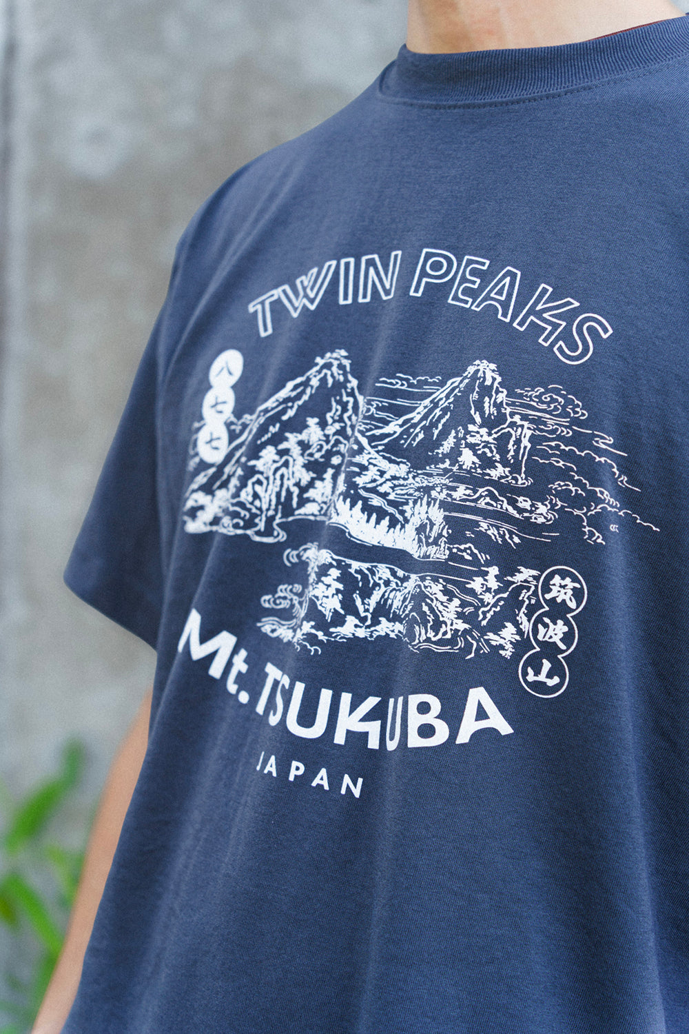 Mt.Tsukuba Souvenir T-shirt - New Old -