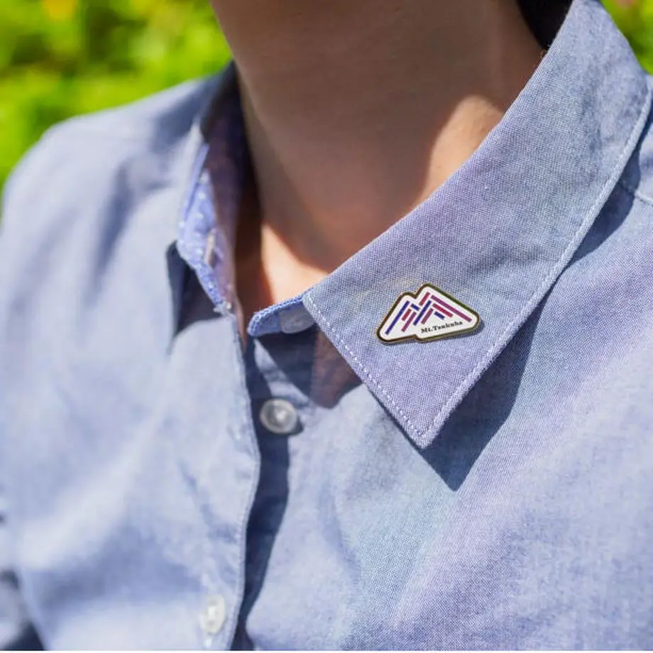 Mount Tsukuba Pins Gold