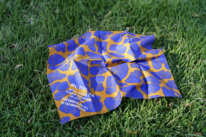 筑波山 奇岩 バンダナ 自然 2