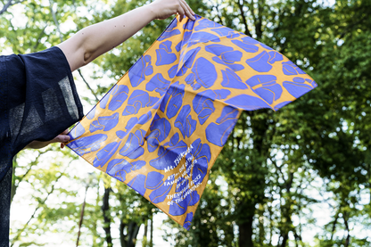 筑波山 奇岩 バンダナ 自然