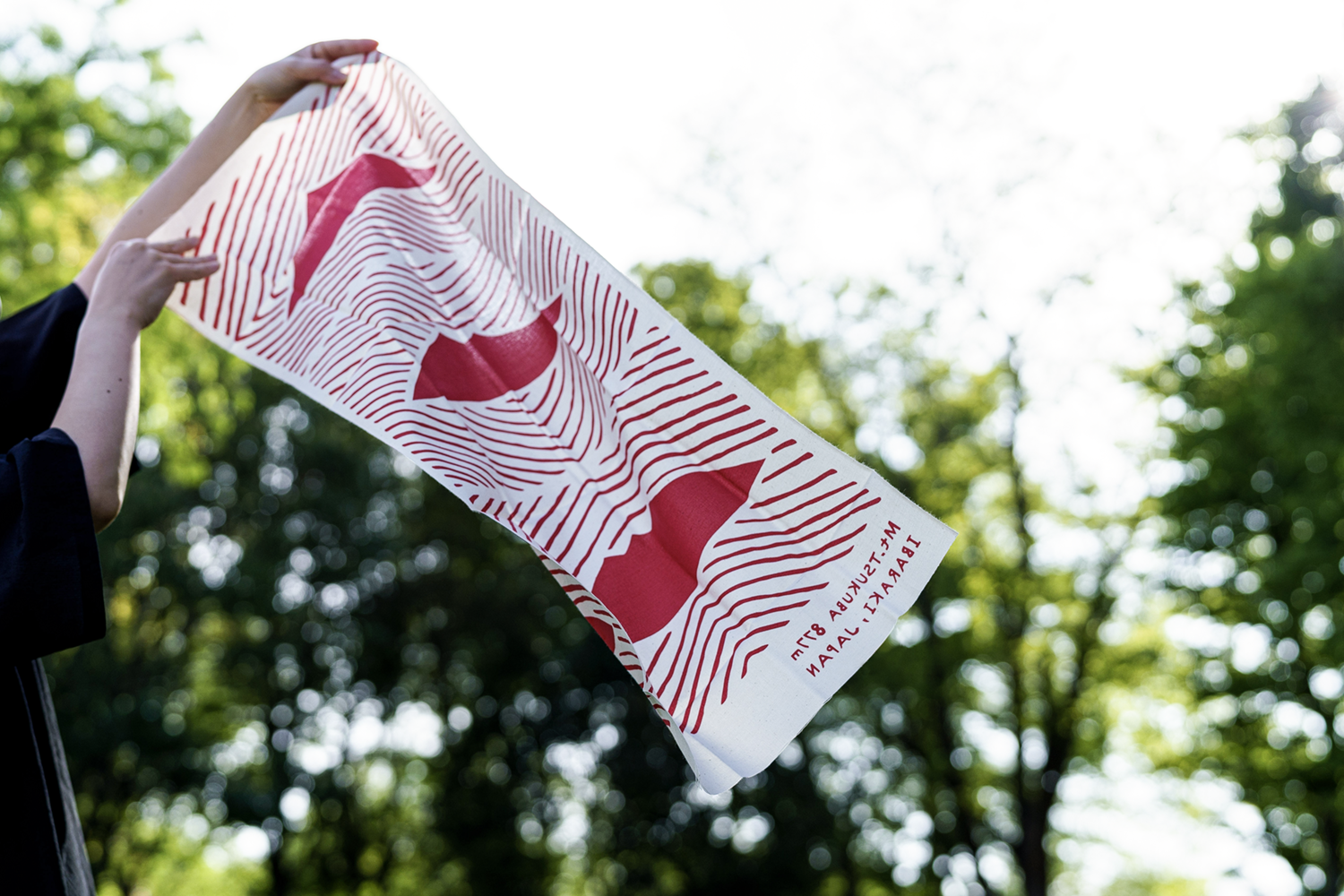 手拭い 筑波山 赤