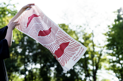 手拭い 筑波山 赤