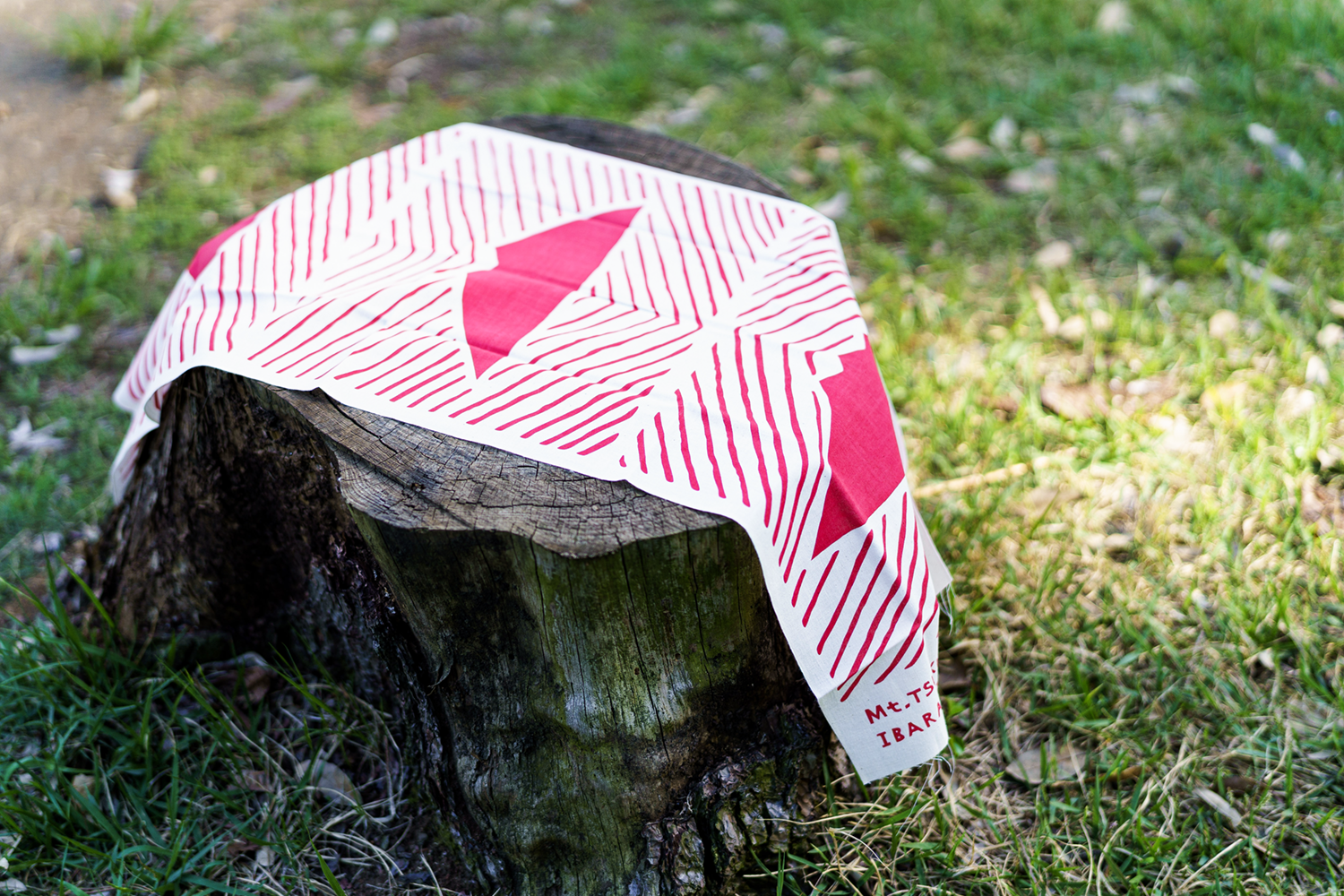 手拭い 筑波山 赤